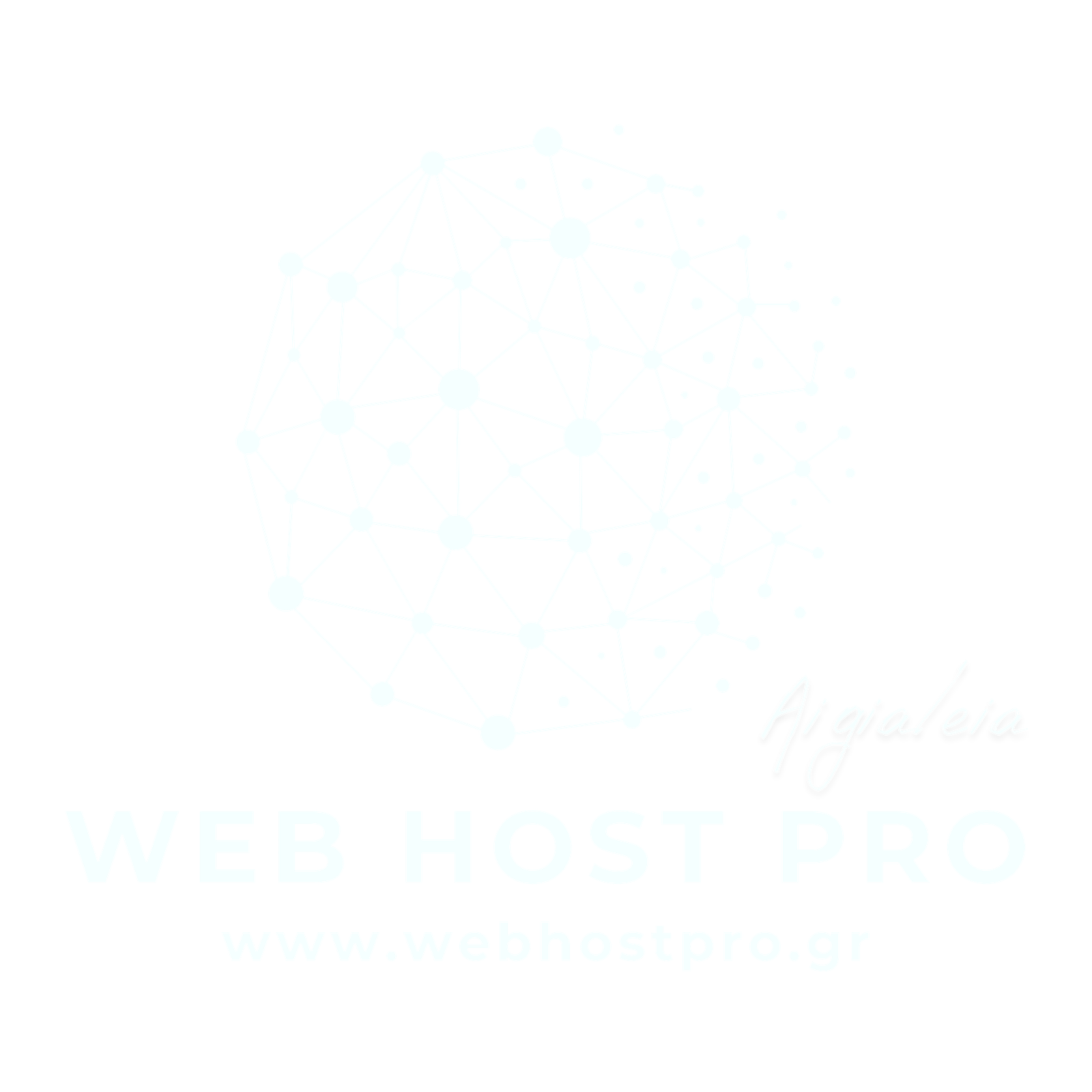 Web Host Pro logo placeholder