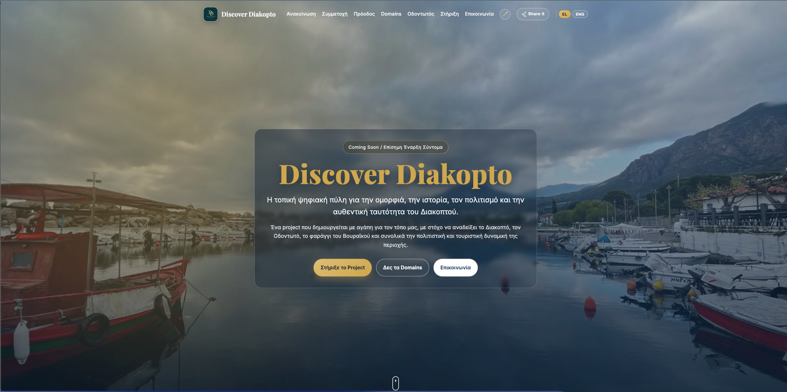 DiscoverDiakopto website preview